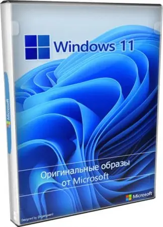 Windows 11
