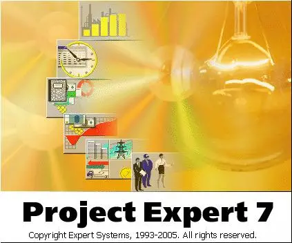 Project Expert Professional