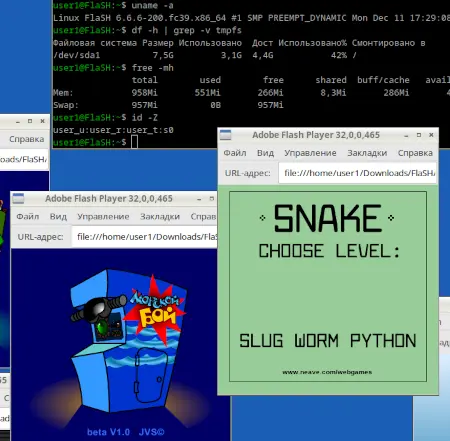 VM Fedora + Adobe Flash
