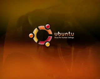 Ubuntu Netbook