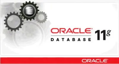 Oracle Database Combo of OJVM Component DB PSU + GI PSU 11.2. Linux